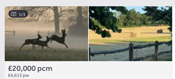 Memories Of The Time I Rented Some Leaping Deer For £20,00 Per Calendar Month