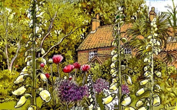 THE MAGIC ROOM